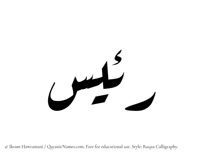 The Muslim name Raees written in Ruqaa calligraphic script