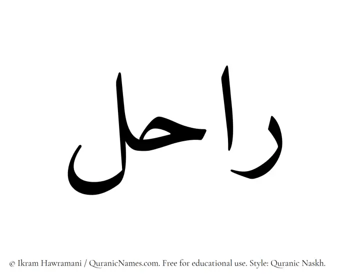 The Muslim name Rahil written in Quranic naskh script
