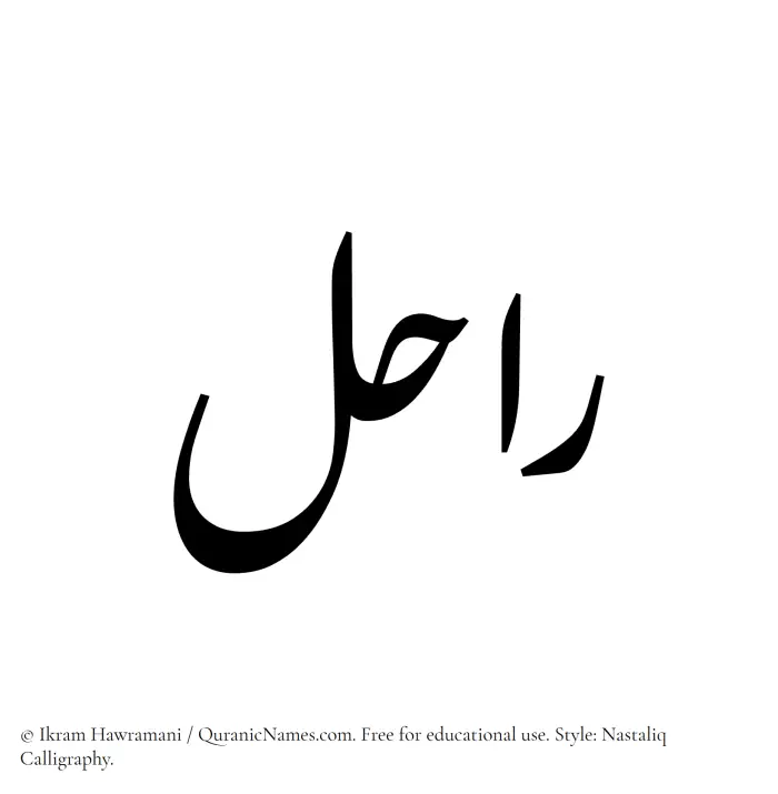 The Muslim name word Rahil written in Nastaliq calligraphic script