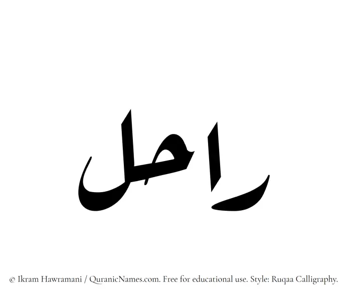 The Muslim name Rahil written in Ruqaa calligraphic script