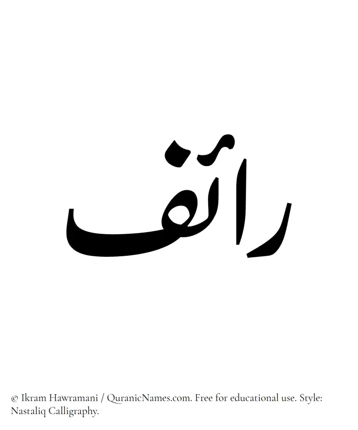 The Muslim name word Raif written in Nastaliq calligraphic script