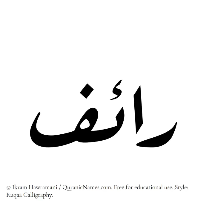 The Muslim name Raif written in Ruqaa calligraphic script