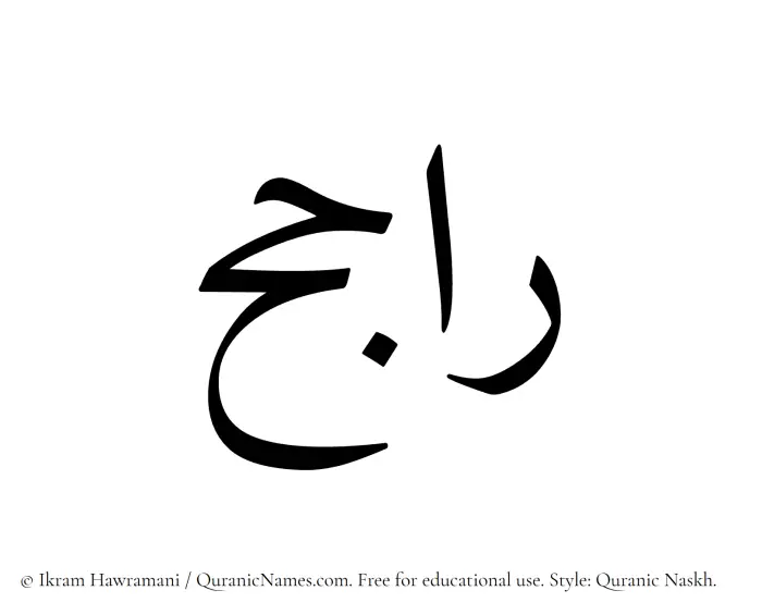 The Muslim name Rajih written in Quranic naskh script