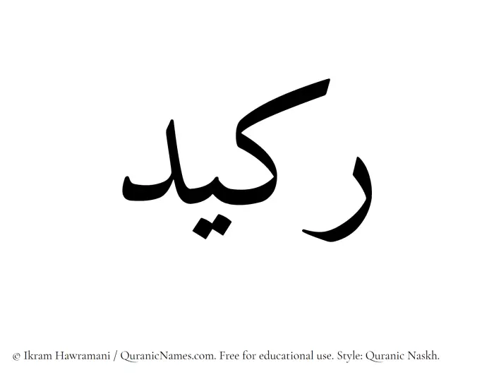 The Muslim name Rakeed written in Quranic naskh script