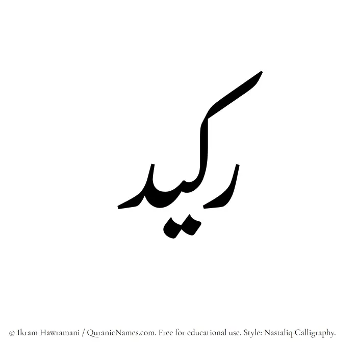 The Muslim name word Rakeed written in Nastaliq calligraphic script