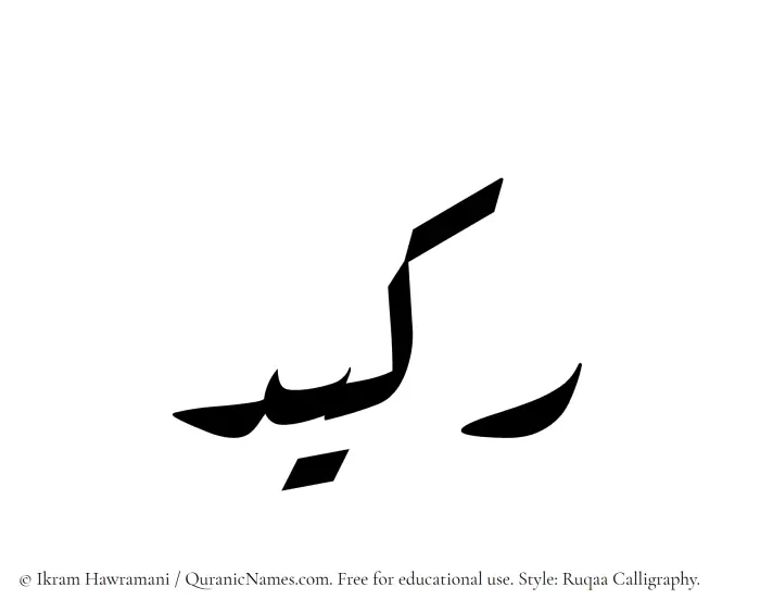 The Muslim name Rakeed written in Ruqaa calligraphic script
