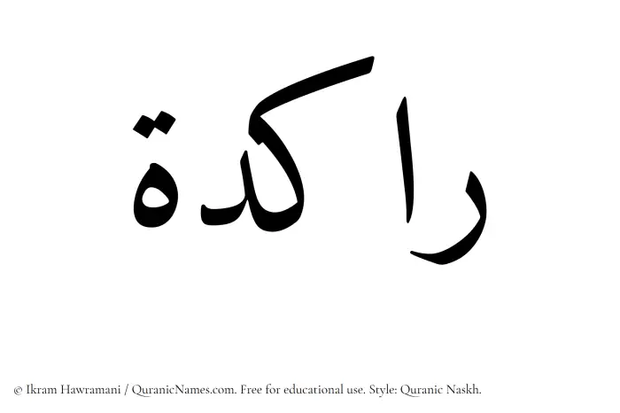 The Muslim name Rakidah written in Quranic naskh script