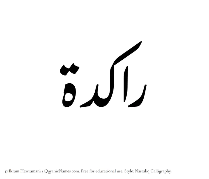 The Muslim name word Rakidah written in Nastaliq calligraphic script