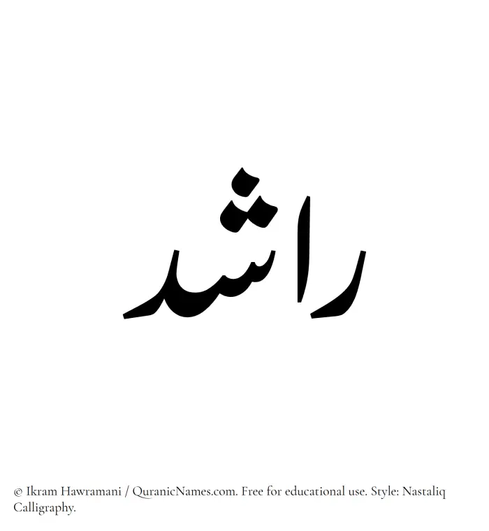 The Muslim name word Rashid written in Nastaliq calligraphic script