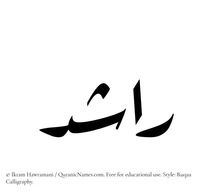 The Muslim name Rashid written in Ruqaa calligraphic script