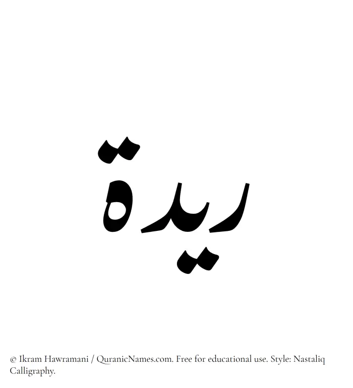 The Muslim name word Raydah written in Nastaliq calligraphic script