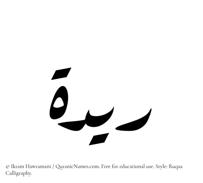 The Muslim name Raydah written in Ruqaa calligraphic script