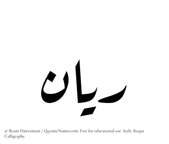 The Muslim name Rayyan written in Ruqaa calligraphic script
