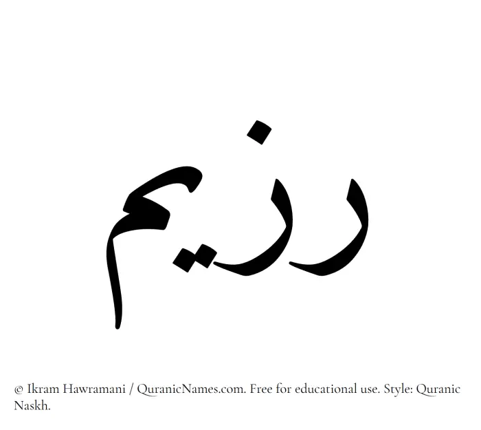 The Muslim name Razeem written in Quranic naskh script