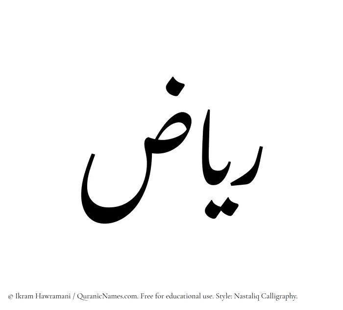 The Muslim name word Riaz written in Nastaliq calligraphic script