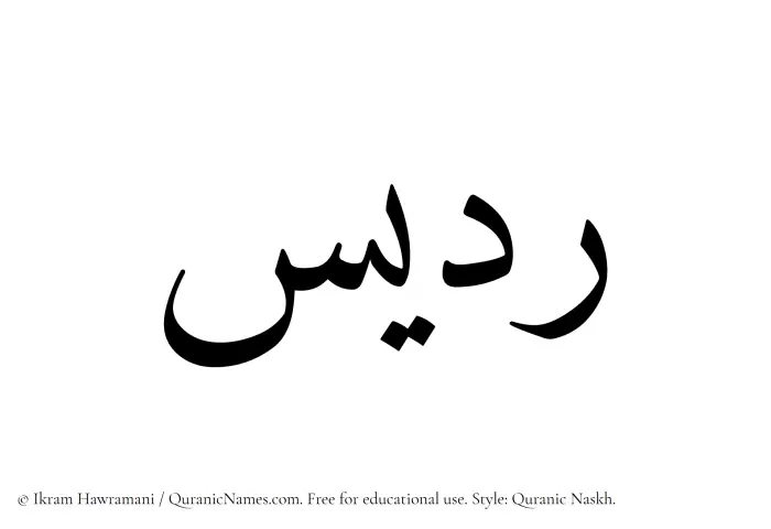 The Muslim name Riddees written in Quranic naskh script