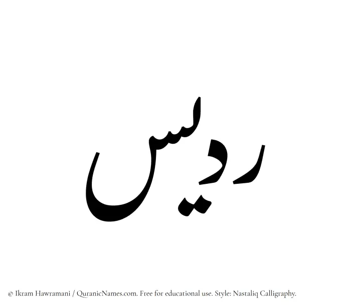 The Muslim name word Riddees written in Nastaliq calligraphic script