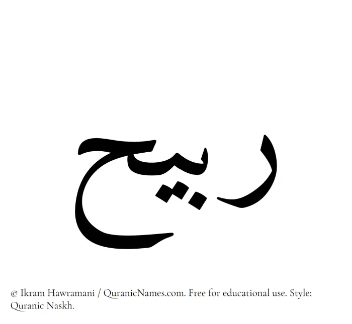 The Muslim name Rubaih written in Quranic naskh script