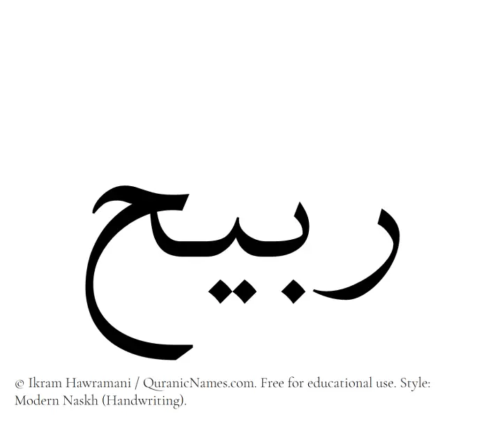 The Muslim name Rubaih written in naskh script