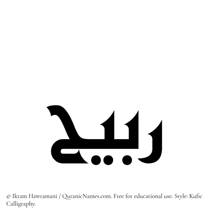 The Muslim name Rubaih written in Kufi/Kufic calligraphic script