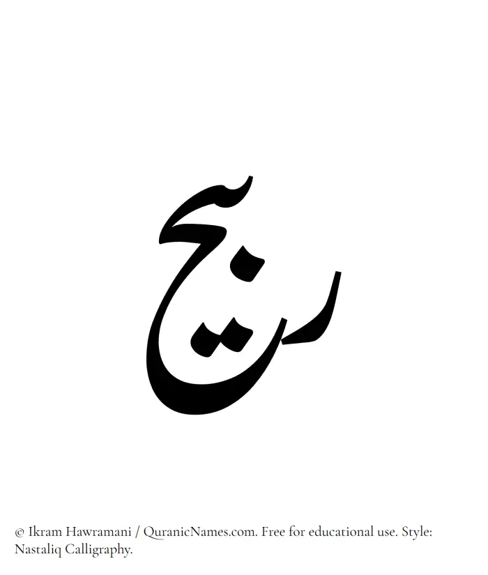 The Muslim name word Rubaih written in Nastaliq calligraphic script