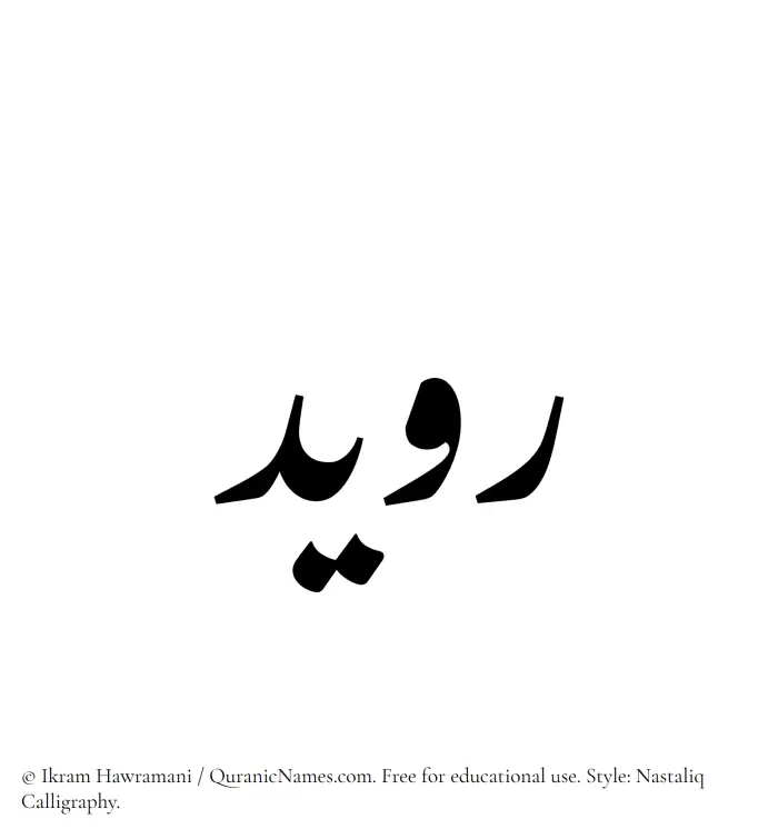 The Muslim name word Ruwaid written in Nastaliq calligraphic script