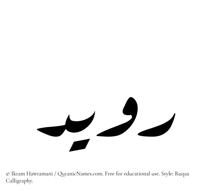 The Muslim name Ruwaid written in Ruqaa calligraphic script