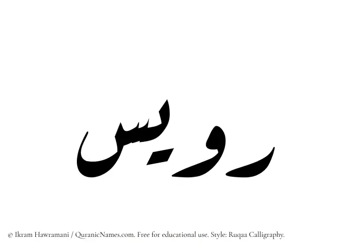 The Muslim name Ruwais written in Ruqaa calligraphic script