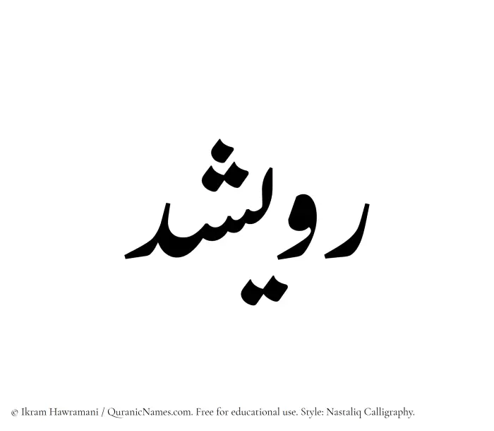 The Muslim name word Ruwaishid written in Nastaliq calligraphic script