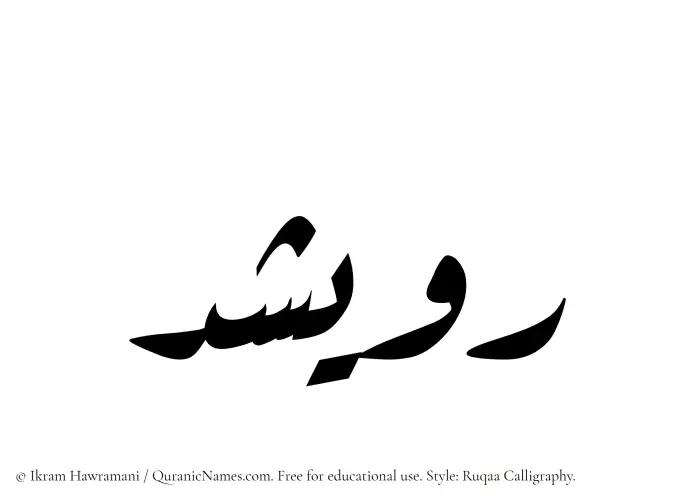 The Muslim name Ruwaishid written in Ruqaa calligraphic script