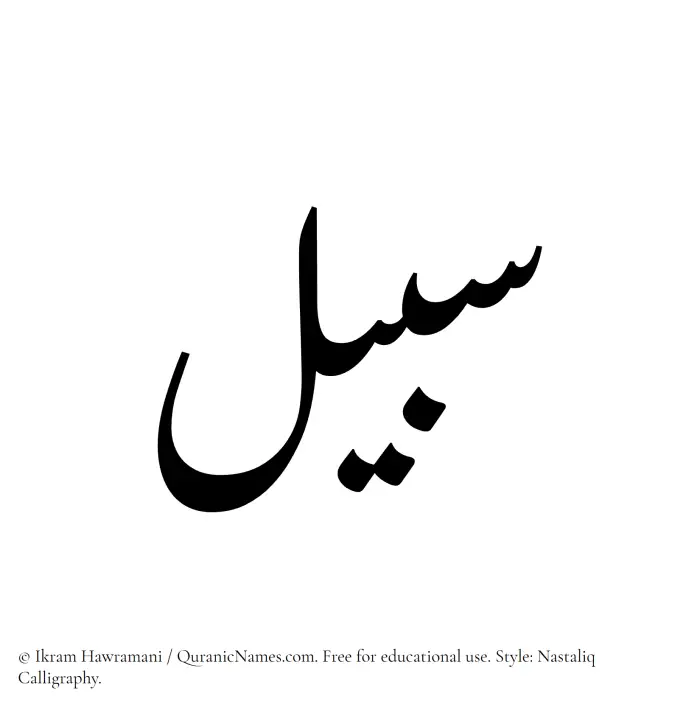 The Muslim name word Sabeel written in Nastaliq calligraphic script