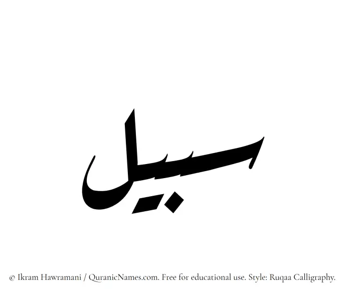 The Muslim name Sabeel written in Ruqaa calligraphic script