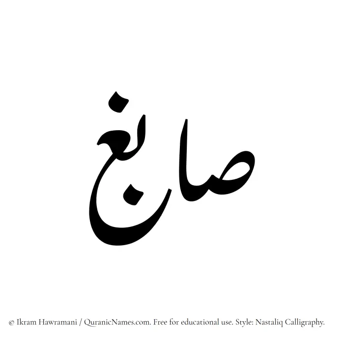 The Muslim name word Sabigh written in Nastaliq calligraphic script