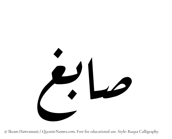 The Muslim name Sabigh written in Ruqaa calligraphic script