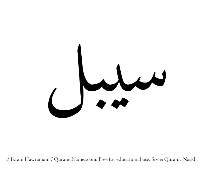 The Muslim name Saibal written in Quranic naskh script