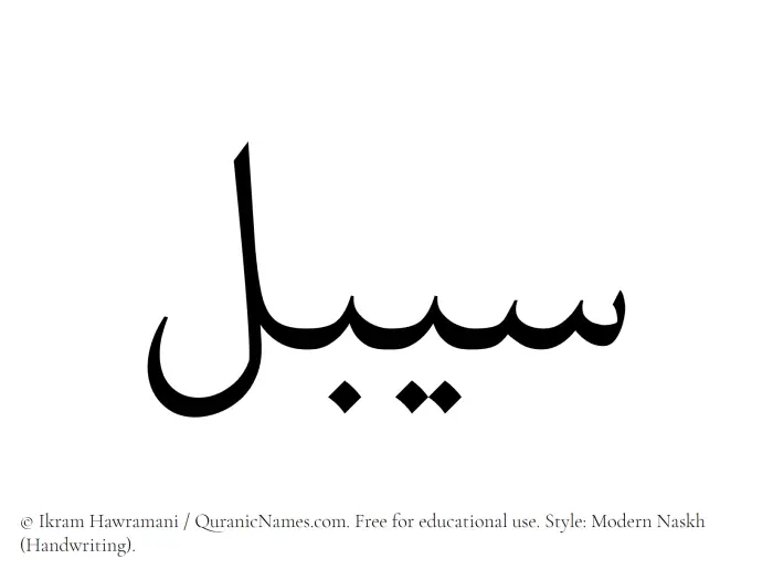 The Muslim name Saibal written in naskh script