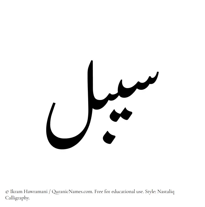 The Muslim name word Saibal written in Nastaliq calligraphic script