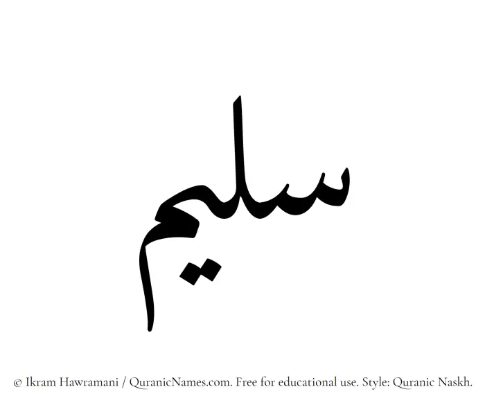 The Muslim name Saleem written in Quranic naskh script