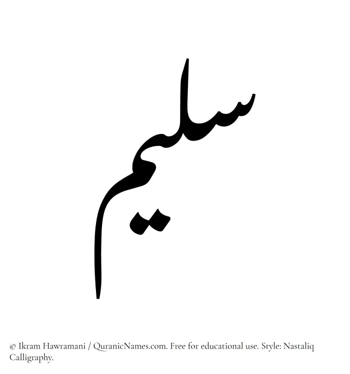 The Muslim name word Saleem written in Nastaliq calligraphic script