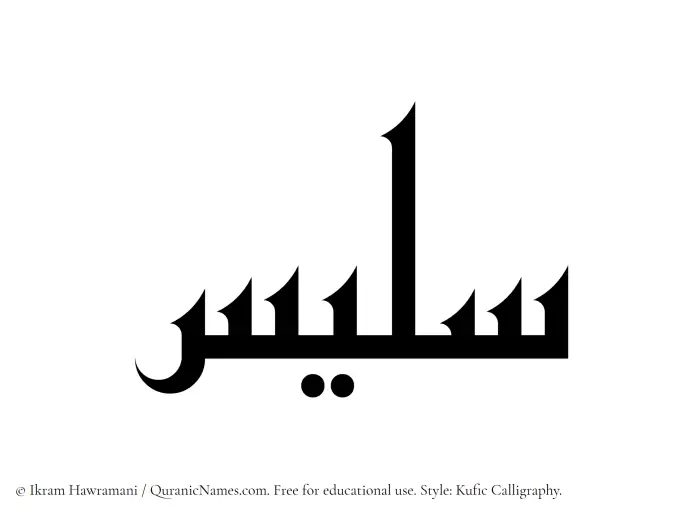 The Muslim name Salees written in Kufi/Kufic calligraphic script