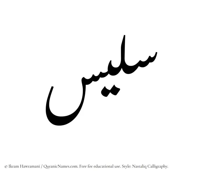 The Muslim name word Salees written in Nastaliq calligraphic script
