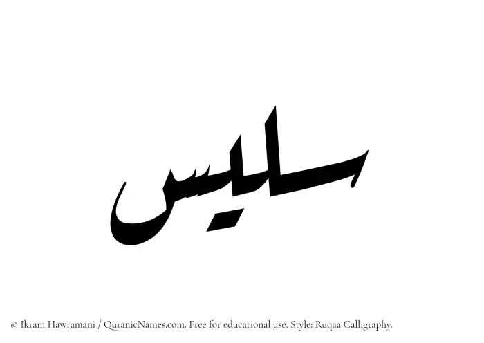 The Muslim name Salees written in Ruqaa calligraphic script