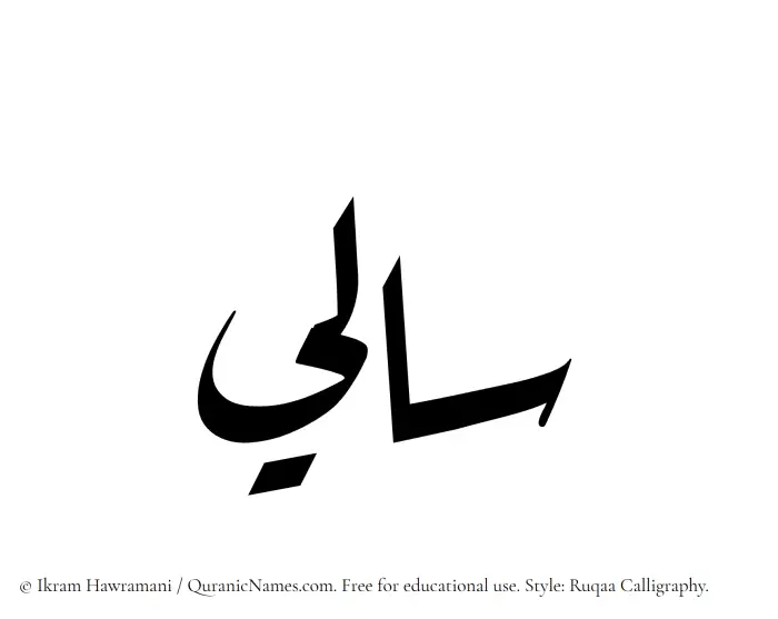 The Muslim name Sali written in Ruqaa calligraphic script