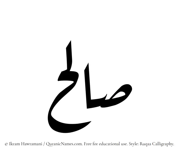 The Muslim name Salih written in Ruqaa calligraphic script