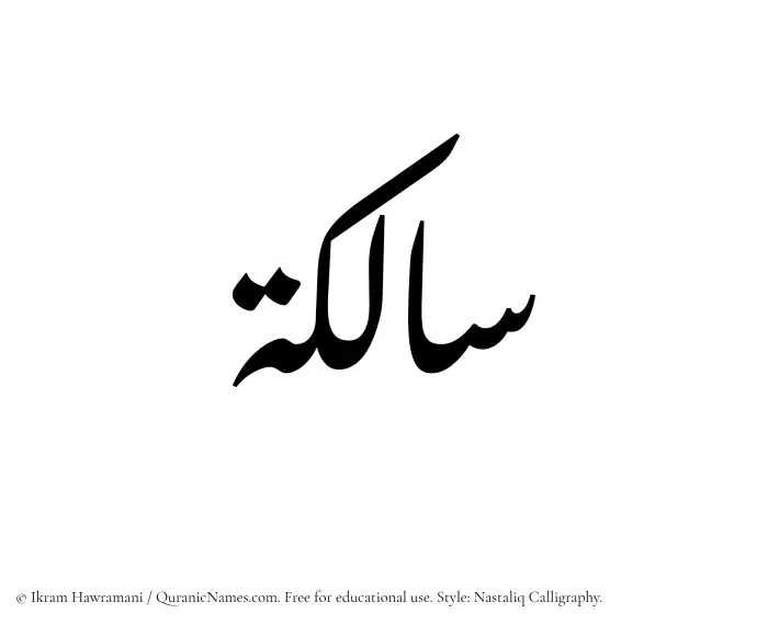 The Muslim name word Salikah written in Nastaliq calligraphic script