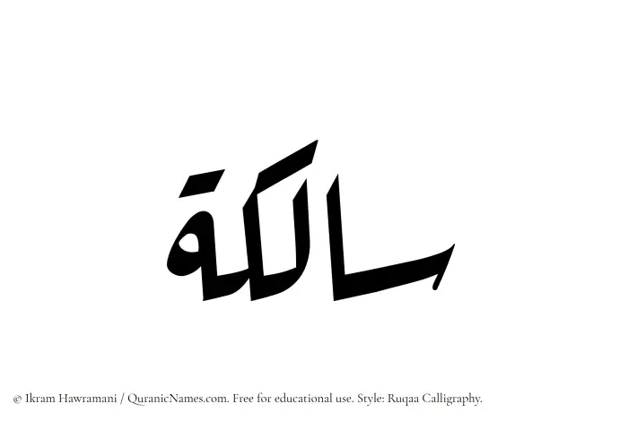 The Muslim name Salikah written in Ruqaa calligraphic script