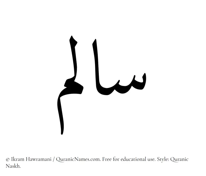 The Muslim name Salim written in Quranic naskh script