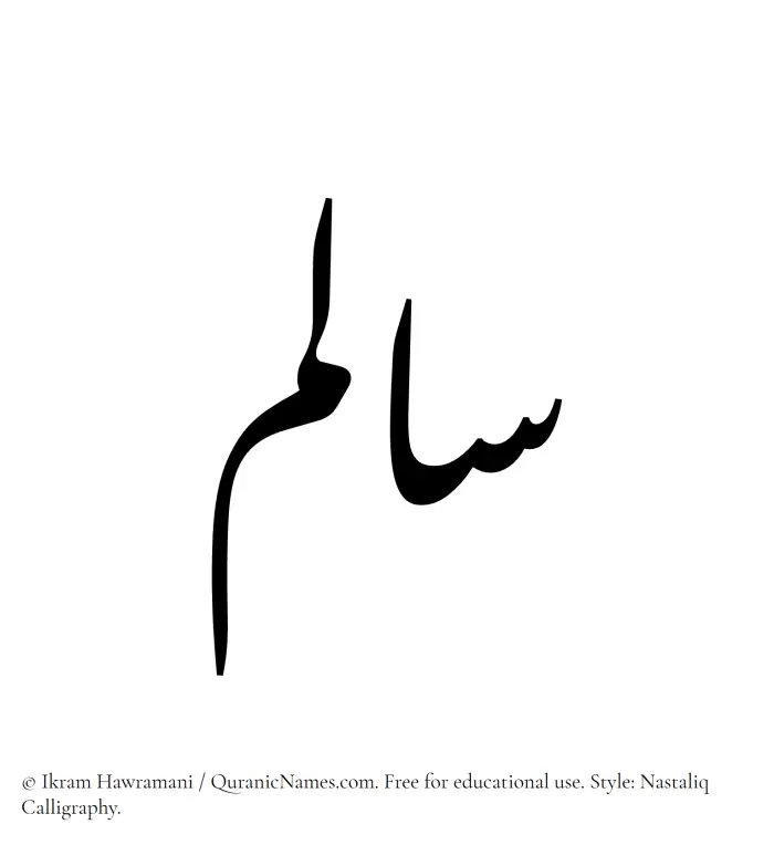 The Muslim name word Salim written in Nastaliq calligraphic script