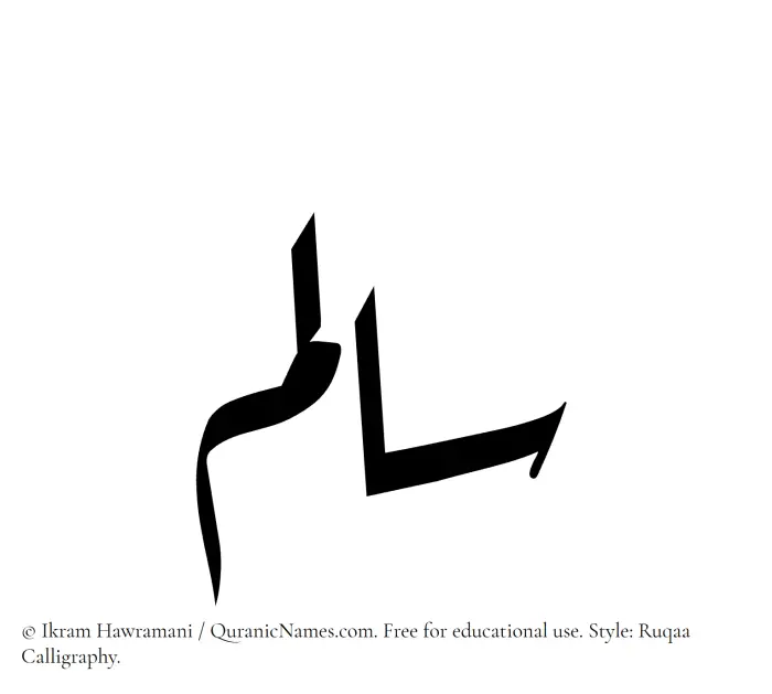 The Muslim name Salim written in Ruqaa calligraphic script