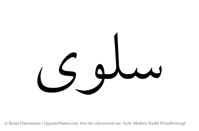 The Muslim name Salwa written in naskh script